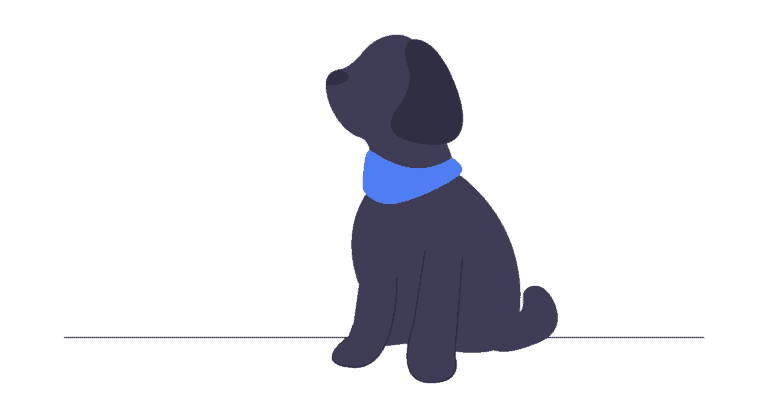 tiere